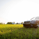 Image for article titled The Best Cars (And Trucks, And Bikes) We Drove In 2015